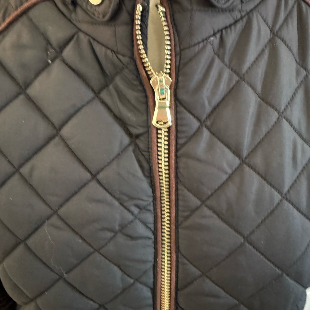 Black Quilted Spring/Fall Jacket - Picture 2 of 5